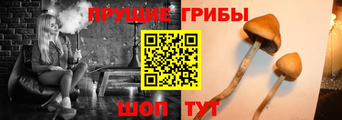 Галлюциногенные грибы Magic Shrooms Новочебоксарск